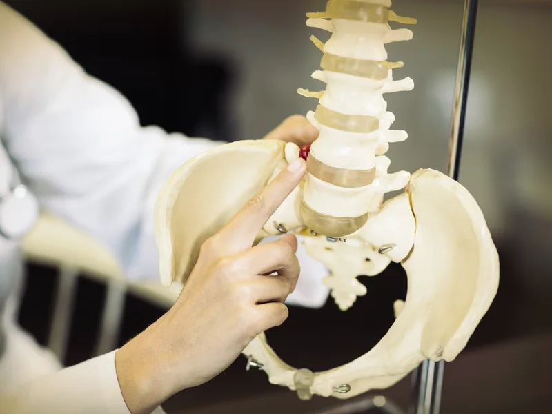Gonstead Technique at Bluebonnet Chiropractic in Denver