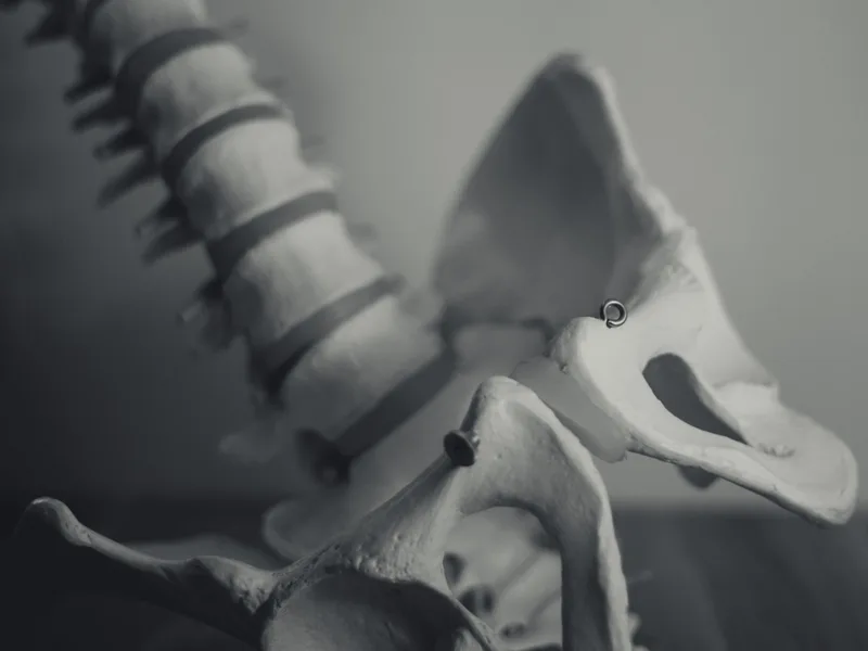 X-Rays at Bluebonnet Chiropractic in Denver